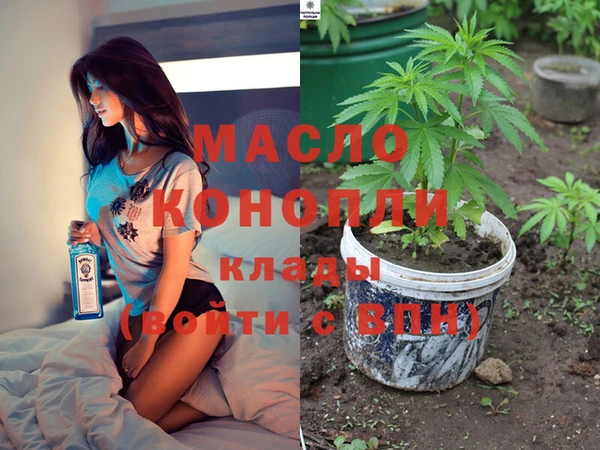 дмт Алексин