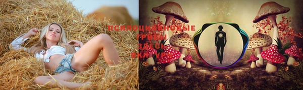 герыч Алзамай
