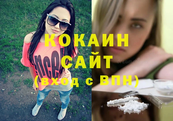 дмт Алексин